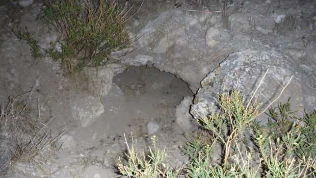 Wombat Hole