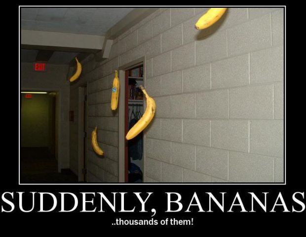 Suddenly, Bananas!