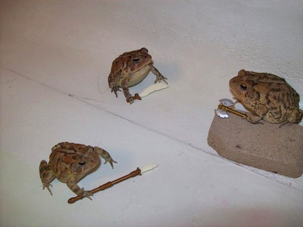 Battle Toads 3D