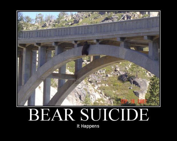 Bear Suicide