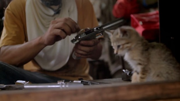 Weapons Manufacturer Kitten