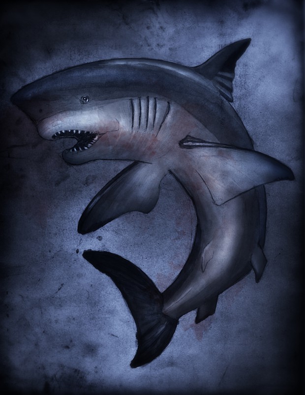 Shark Concept I