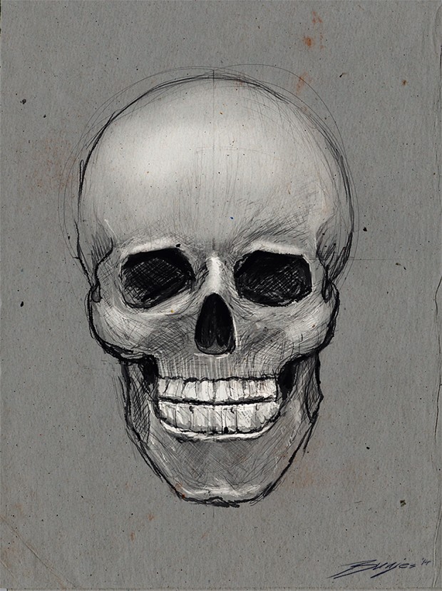 Human skull sketch