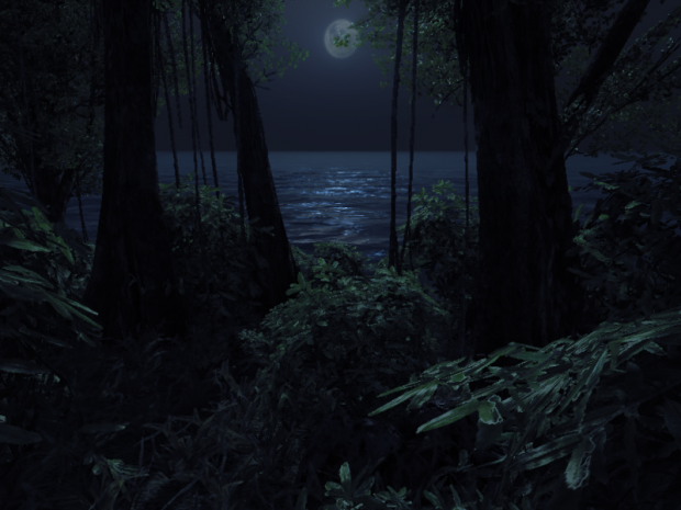 Night Jungle