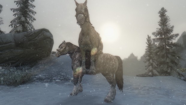 How Horse Breeds in Skyrim