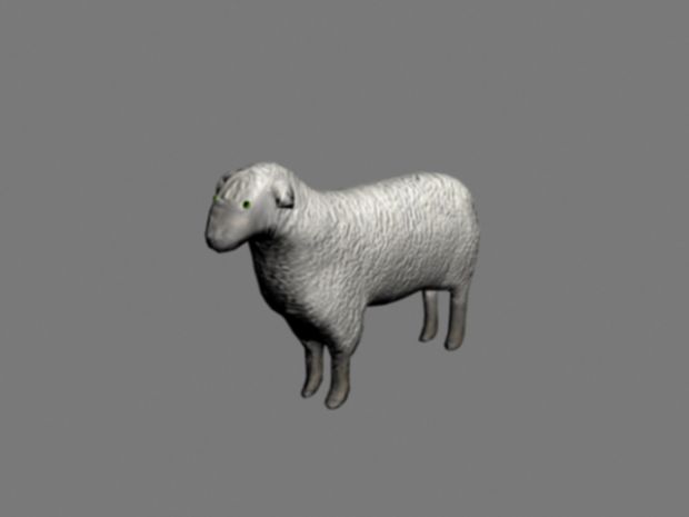 Textured and Bumbed Sheep