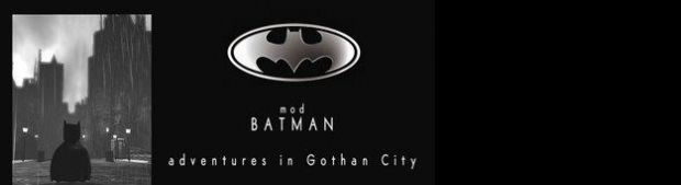 BATMAN - adventures in gothan city