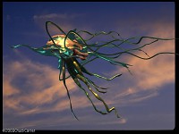 #2 of The Most Awesome Medusas Ever Seen xD