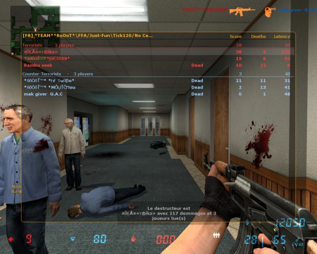 Counter-Strike: Source Owning