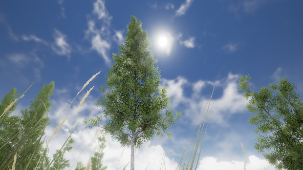 Simple Summer Trees