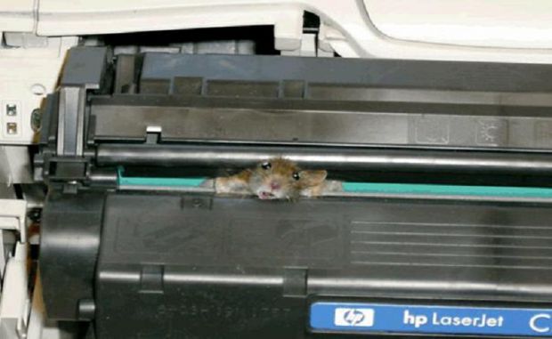 What do you mean printers don't have a mouse ?