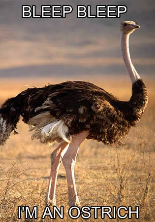 bleep bleep i'm an ostrich