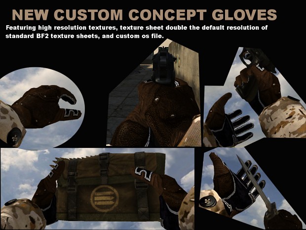 Custom Gloves I made