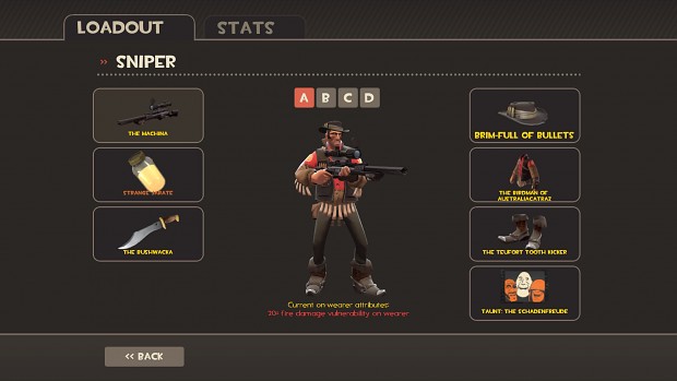 My Newly Decked Out TF2 Sniper