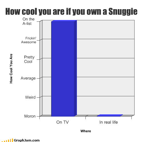 The Infamous Snuggie