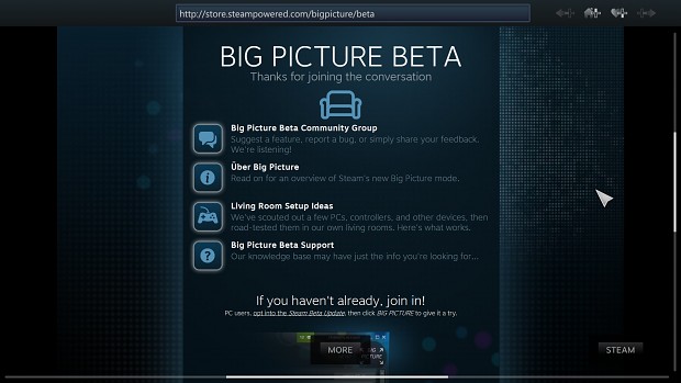 Steam big picture beta