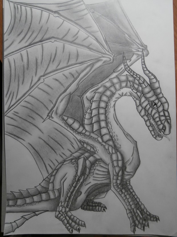New dragon;)