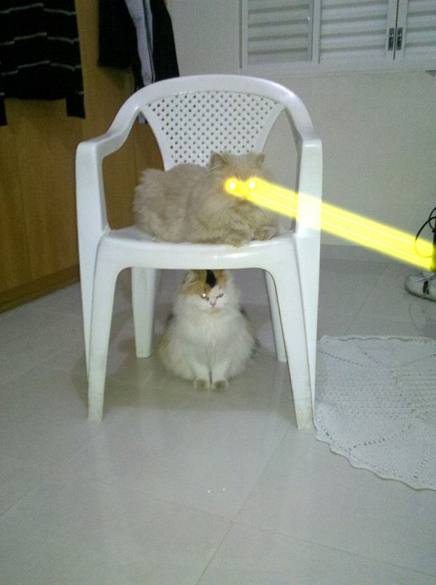 Flying Gabriel's Laser Cat