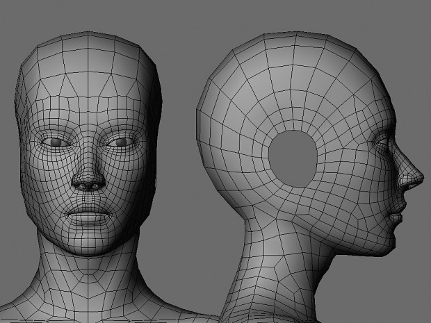 some wire meshes of heads