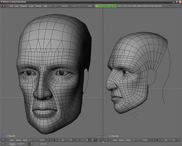 some wire meshes of heads