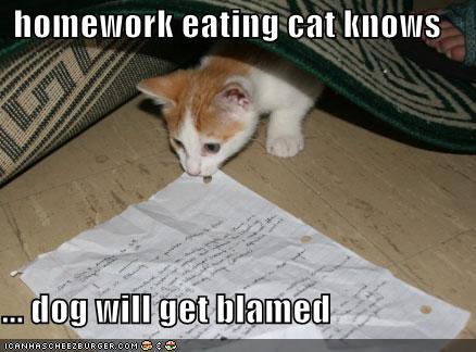 homework eating cat