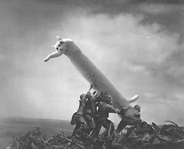 The Longcat of Iwo Jima