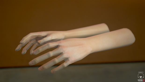 Lowpoly Hands