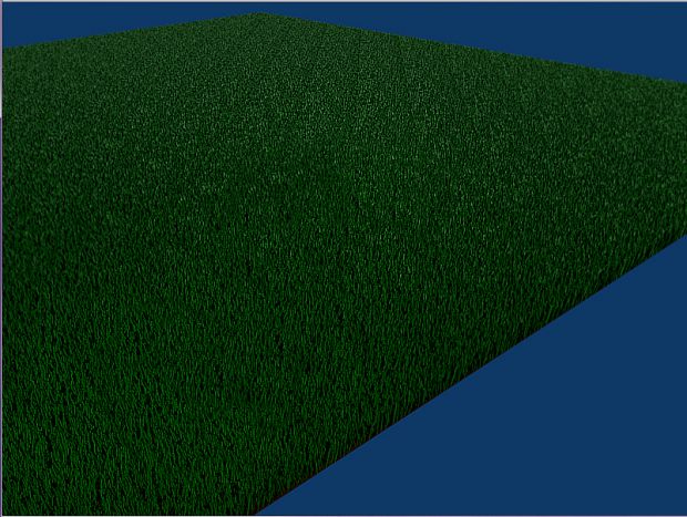 Simple large grass area
