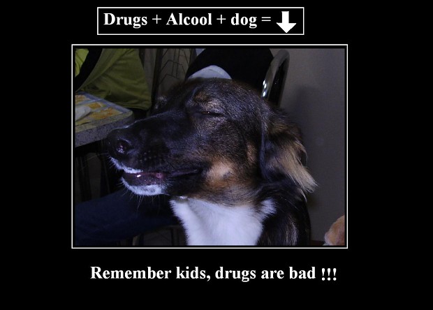 Remember kids drugs are not only bad for you...