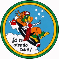 Pampa squadron(airforce) simbol