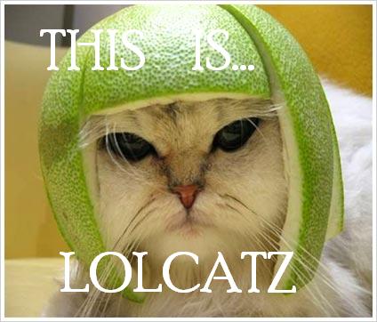 THIS IS LOLCATZ