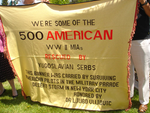 USA Veteran's Banner