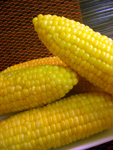 oh sweet corn...how i love you.