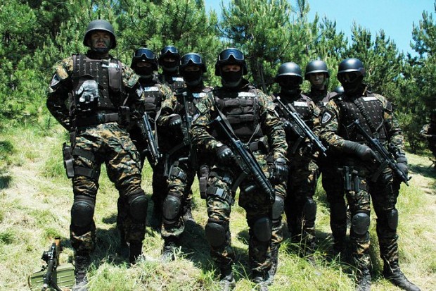 The Serbian Armed Forces