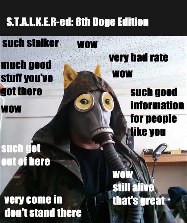 DogeStalker