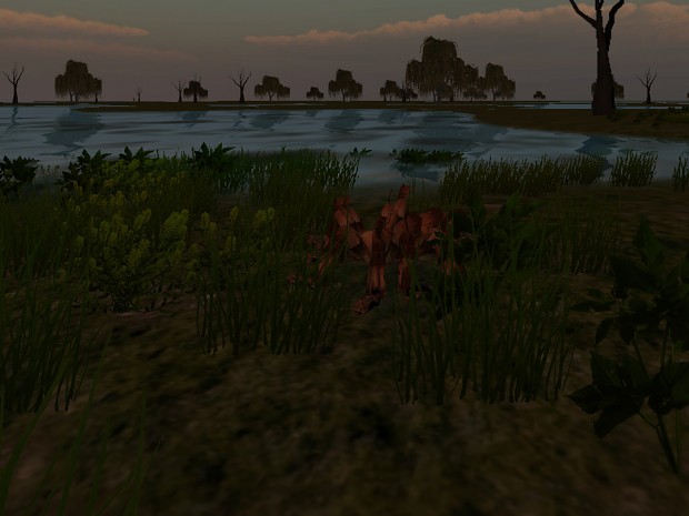 other part of the swamps2