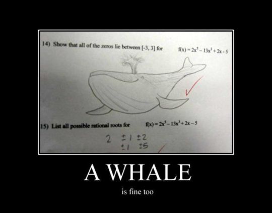 A whale...