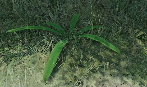 Plant CryEngine2