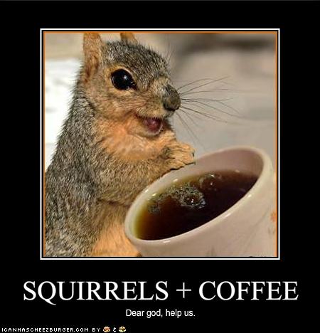 Squirrels+Coffee