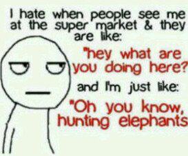 Oh, you know, hunting elephants