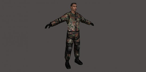 Philippine Marines Corps (PMC) skin for AFP Mod