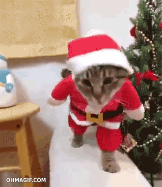 Santa walking like a Coool Cat