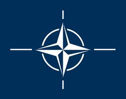 NATO (North American Terorist Organisation)