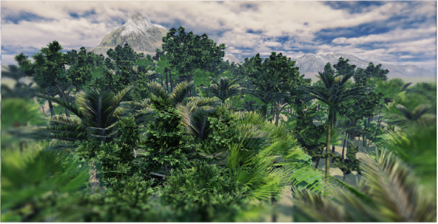 Tropical Forest (in progress)