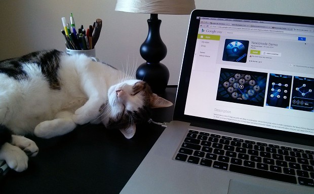 Crystal the cat "debugger"
