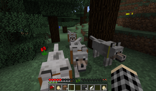 Minecraft, my dog army