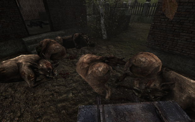 Attack of the boars and pigs!