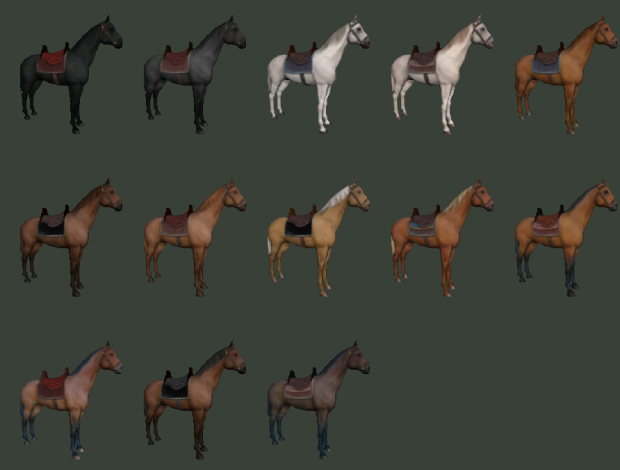 Killer_Cat_Horses.PNG