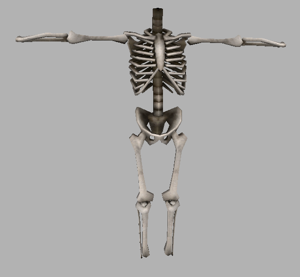 skeleton1.png