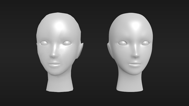 Head model renders